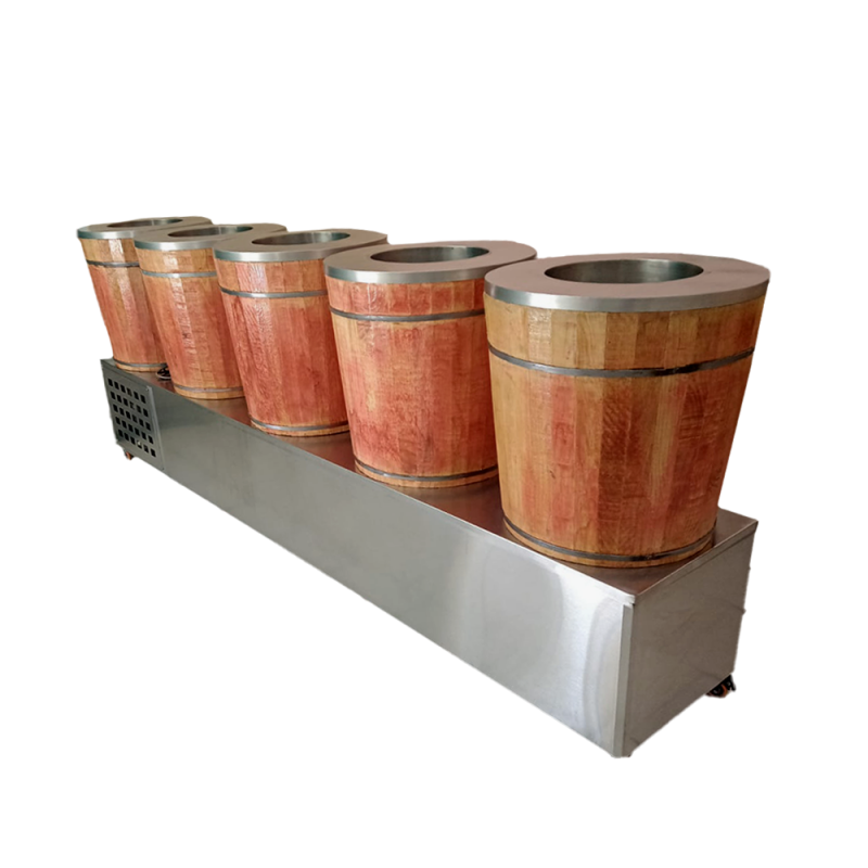  - guadalajara,jalisco